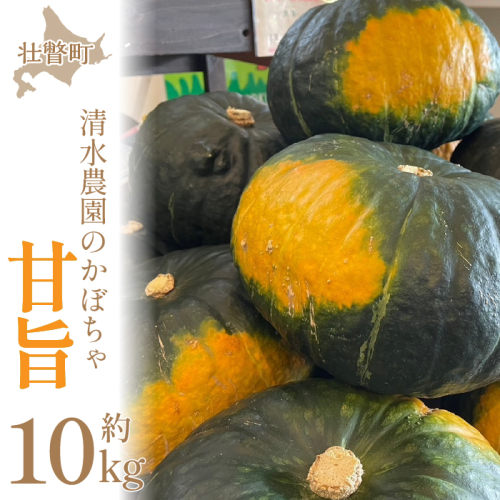 <2025年9月初旬よりお届け>【農園直送】清水農園のかぼちゃ(甘旨)約10kg (4~6玉) SBTO013 1326148 - 北海道壮瞥町