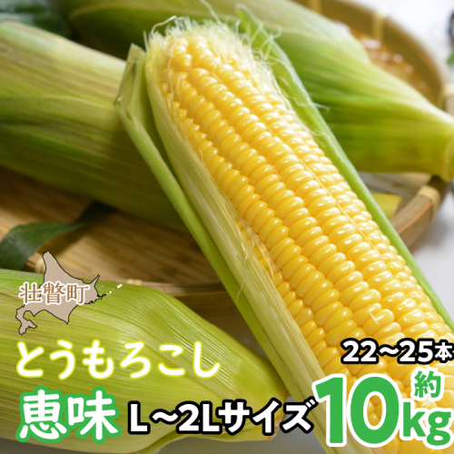 <2025年8月初旬よりお届け>約10kg!北海道壮瞥産とうもろこし(恵味)【L~2Lサイズ 22~25本】 SBTP006 1326159 - 北海道壮瞥町