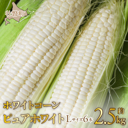 ＜2025年8月中旬よりお届け＞【朝採り】北海道壮瞥町産　ホワイトコーン「ピュアホワイト」Lサイズ以上6本（約2.5kg） SBTQ004 1326214 - 北海道壮瞥町