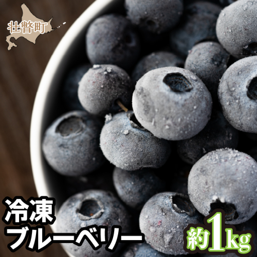 <2024年7月中旬よりお届け>北海道壮瞥町産冷凍ブルーベリー 約1kg SBTS004 1326223 - 北海道壮瞥町