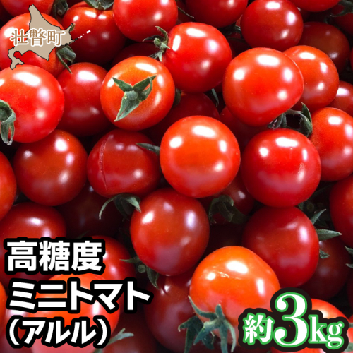 <2024年7月上旬よりお届け>北海道壮瞥町産ミニトマト(アルル)約3kg SBTS003 1326225 - 北海道壮瞥町