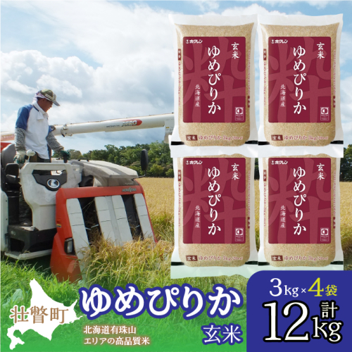 【令和6年産】（玄米12kg）ホクレンゆめぴりか（3kg×4袋） SBTD076 1326298 - 北海道壮瞥町