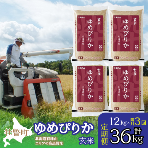 【令和6年産 隔月3回定期配送】（玄米12kg）ホクレンゆめぴりか（3kg×4袋） SBTD077 1326300 - 北海道壮瞥町