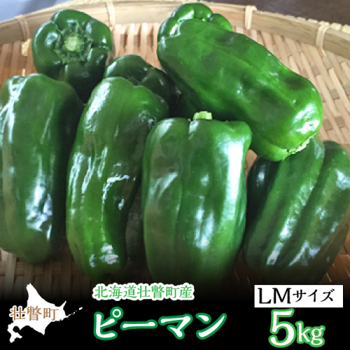 ＜2025年7月下旬よりお届け＞北海道壮瞥町産 ピーマン 約5kg SBTL014 1326314 - 北海道壮瞥町