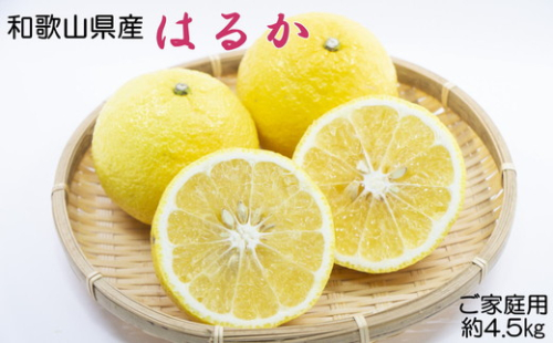 【さわやか柑橘】和歌山県産はるかみかん約4.5kg（サイズ混合　ご家庭用）※2026年2月下旬～3月下旬頃に順次発送予定 1327322 - 和歌山県美浜町