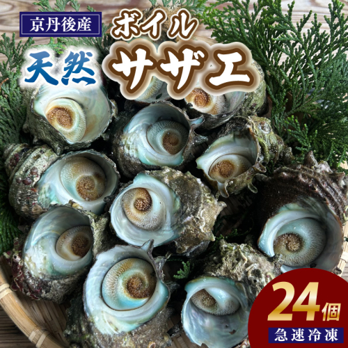 急速冷凍！壺焼き BBQにオススメ！天然ボイルサザエ 24個 1328916 - 京都府京丹後市