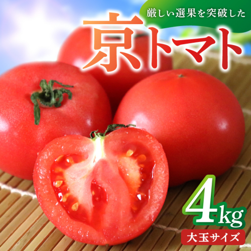 【先行予約】京丹後産・京トマト 4kg（12～24玉） 春夏発送（2026年5月中旬～発送） 1331265 - 京都府京丹後市