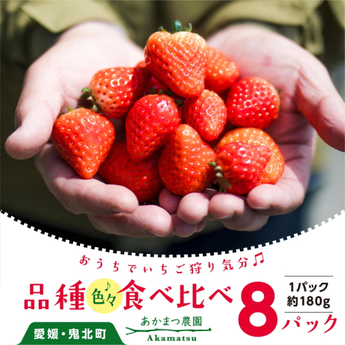【2026年春収穫分】【先行受付】【食べ比べ】 いちご8パック ｜ レッドパール 紅い雫 紅ほっぺ かおり野 イチゴ 苺 フルーツ あかまつ農園 ※2026年2月中旬～3月中旬頃に順次発送予定 1332014 - 愛媛県鬼北町