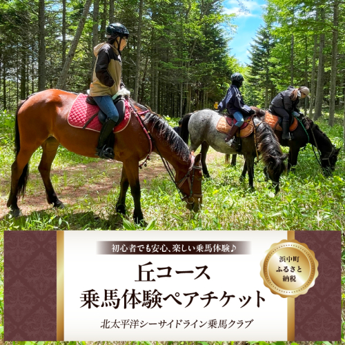乗馬体験(丘コース)ペアチケット_H0036-002 1334148 - 北海道浜中町
