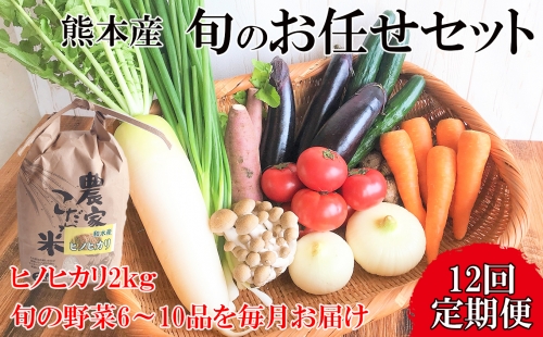 【定期便12回】毎月お届け!旬のお任せセット お米(ヒノヒカリ) 2kg・ 旬の新鮮お野菜(6～10品目)セット (詰め合わせ) | 熊本県 和水町 くまもと なごみまち なごみ ヒノヒカリ ひのひかり米 単一原料米 2kg 野菜 旬 旬の野菜 産地直送 詰め合わせ セット 定期 定期便 12回 1334404 - 熊本県和水町