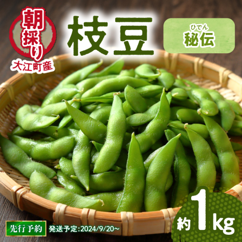 《先行予約》枝豆（秘伝）約1kg【2025年9月下旬より順次発送予定】 1334406 - 山形県大江町