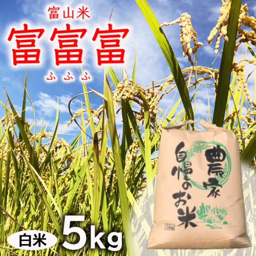 【令和7年度米】【先行予約】農家直送「 富富富 」5kg（白米）｜富山米 ふふふ　※北海道・沖縄・離島への配送不可 1334502 - 富山県魚津市