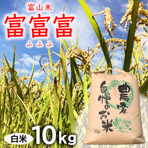 【令和7年度米】【先行予約】農家直送「 富富富 」10kg（白米）｜富山米 ふふふ　※北海道・沖縄・離島への配送不可 1334503 - 富山県魚津市