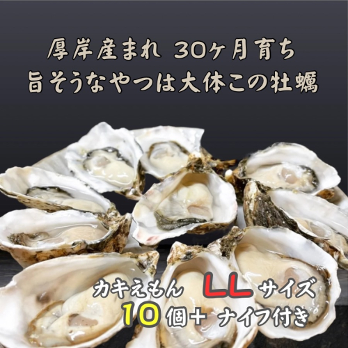 厚岸で産まれ30ヵ月育成 北海道 厚岸産 牡蠣 カキえもん LLサイズ 10個 カキ  1334593 - 北海道厚岸町