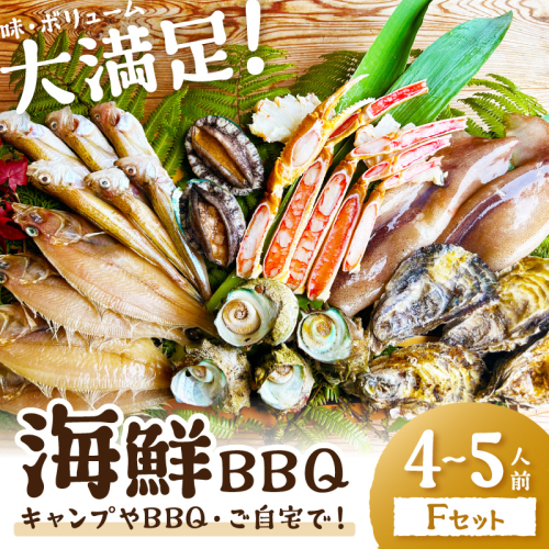 大満足！京丹後・海鮮BBQ　Fセット　豪華盛り合わせ　生ズワイガニ　アワビ付　7種23品（4～5人前）
 1335263 - 京都府京丹後市