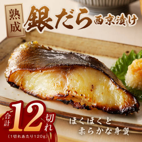 銀鱈 西京漬け 120g×12切れ 【西京漬け 熟成 西京漬けの王様 海産物 魚 惣菜 銀だら 西京焼き 味噌 小分け お酒のあて 訳あり サイズ不揃い 切り落とし 冷凍】 015B280 1336885 - 大阪府泉佐野市