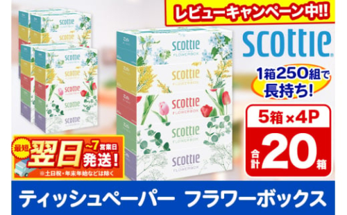 最短翌日発送 ティッシュペーパー スコッティ フラワーボックス250組 20箱(5箱×4パック) ティッシュ 秋田市オリジナル  【レビューキャンペーン中】