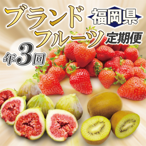 【年3回春夏秋】福岡ブランドフルーツ定期便（3～4・8～9・11月）【随時開始】[F5410] 1338076 - 福岡県福津市
