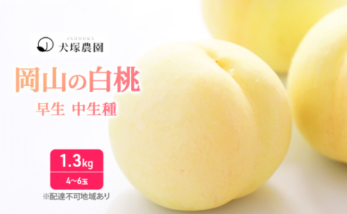 桃 2026年 先行予約 ご家庭用 訳あり 1.3kg 4～6玉 もも モモ 国産 岡山 白桃 はくとう スイーツ フルーツ 果物 デザート 旬 岡山県 里庄町 送料無料 早生 中生種 犬塚農園  1338790 - 岡山県里庄町