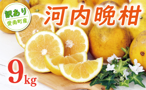 訳あり 河内晩柑 樹齢 20年以上 9kg （ Lサイズ 以上 ） 9000円 みかん mikan 蜜柑 ミカン わけあり かわちばんかん 愛南ゴールド あいなん ゴールド 美生柑 文旦 グレープフルーツ 和製 家庭用 産地直送 国産 農家直送 期間限定 数量限定 ビタミン 特産品 ゼリー ジュース 人気 限定 さわやか 甘い フルーツ 果物 柑橘 蜜柑 規格外 くらもとファーム 愛南町 愛媛県 1339006 - 愛媛県愛南町