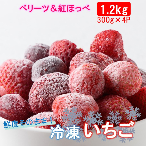 鮮度そのまま! 冷凍完熟いちご / ベリーツ&紅ほっぺ 1.2kg (300g×4P)_2418R 1339963 - 大分県国東市
