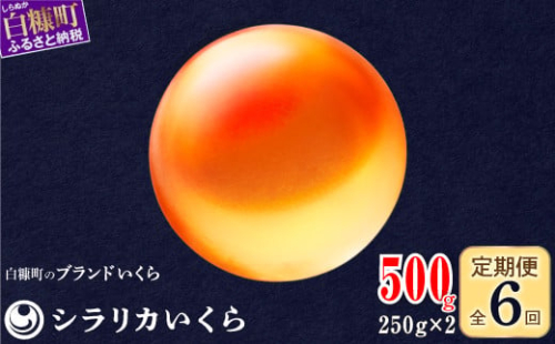 年6回お届け定期便 シラリカいくら（生いくら） 500g(250g×2) お好みに味付けができます いくら イクラ 生いくら 生イクラ 鮭いくら 小分け いくら醤油漬 鮭イクラ イクラ醤油漬 鮭 鮭卵 いくら醤油漬け ikura 醤油いくら 醤油イクラ 冷凍いくら いくら無添加 いくら鮭 ふるさと納税 北海道 白糠町
 1340060 - 北海道白糠町