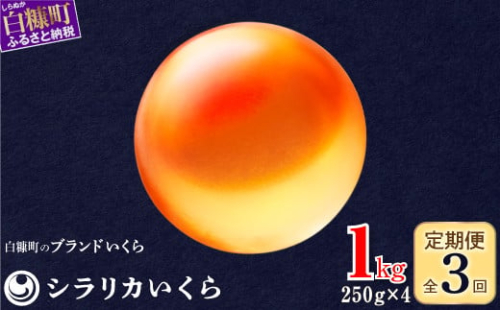 年3回お届け定期便 シラリカいくら（生いくら） 1kg(250g×4) お好みに味付けができます いくら イクラ 小分け 生いくら 生イクラ いくら醤油漬 鮭いくら 鮭イクラ イクラ醤油漬 鮭 鮭卵 いくら醤油漬け ikura 醤油いくら 醤油イクラ 冷凍いくら いくら無添加 いくら鮭 ふるさと納税 北海道 白糠町 1340064 - 北海道白糠町