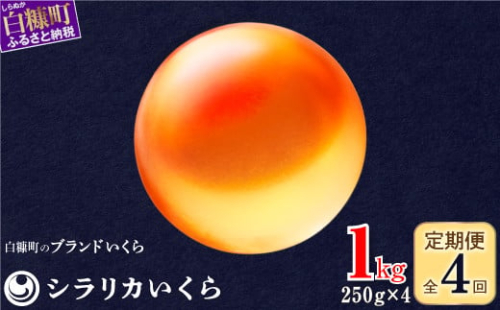 年4回お届け定期便 シラリカいくら（生いくら） 1kg(250g×4) お好みに味付けができます いくら イクラ 生いくら 生イクラ 小分け 鮭いくら 鮭イクラ いくら醤油漬 イクラ醤油漬 鮭 鮭卵 いくら醤油漬け ikura 醤油いくら 醤油イクラ 冷凍いくら いくら無添加 いくら鮭 ふるさと納税 北海道 白糠町 1340104 - 北海道白糠町