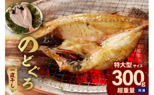 のどぐろ一夜干し個包装１枚　「超希少サイズ・特大型３００ｇ超重量」＜10月以降順次発送＞産地直送 干物 魚 一夜干し 人気 大きい 天然 ボリューム ノドグロ 【005_1929】 1340329 - 島根県浜田市