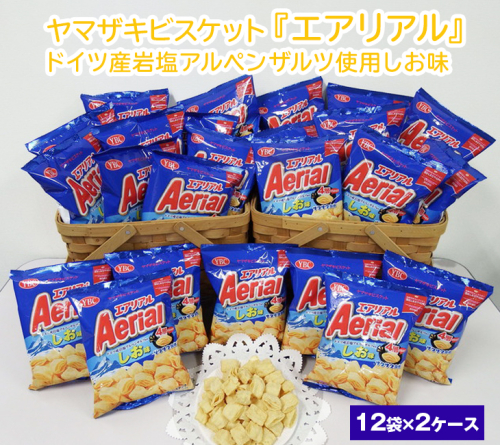 ヤマザキビスケット『エアリアル』ドイツ産岩塩アルペンザルツ使用しお味（12袋×2ケース） ｜ 菓子 お菓子 スナック エアリアル おかし おやつ おつまみ つまみ スナック菓子 チップスター YBC スイーツ ご家庭用 手土産 ギフト 贈答 贈り物 プレゼント お中元 お歳暮　 夏休み 冬休み 直送 工場直送 茨城県 古河市 送料無料 _BY07 134099 - 茨城県古河市