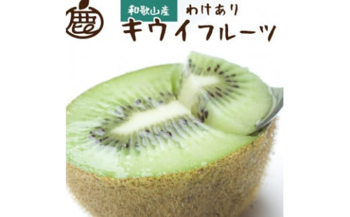 ［先行予約］わけあり キウイ5kg+250g（傷み補償分）［わけあり・訳あり・扁平果］ 1342271 - 和歌山県有田川町