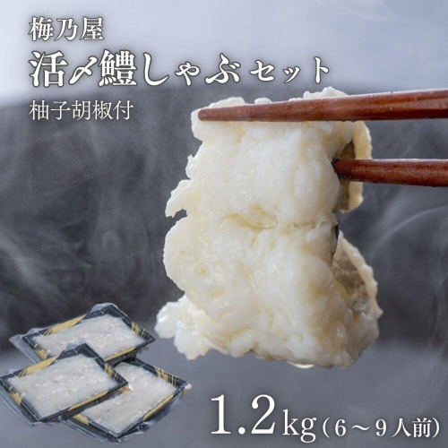 I-14 活〆鱧しゃぶしゃぶセット 1200g(6~9人前) 1342492 - 大分県豊後高田市