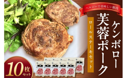 【DLGコンテスト2024金賞受賞】 ケンボロー芙蓉ポーク ロールステーキセット（10枚） 豚肉 豚 ポーク ステーキ ロールステーキ 肩ロース スライス【002_1968】 1342959 - 島根県浜田市