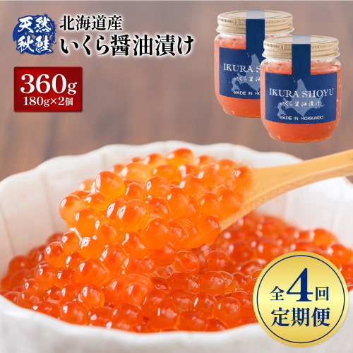 【定期便：全4回】【10営業日以内発送！】北海道産いくら醤油漬け360g(180g×2)【0213002】 1348196 - 北海道羽幌町