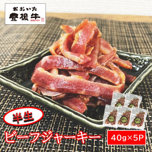 【黒毛和牛】 おおいた和牛 半生 ビーフジャーキー 200g (40g×5P) レア つまみ 酒の肴_2392R-1 1348925 - 大分県国東市