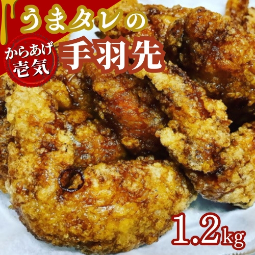 C1-50 うまタレ付 手羽先 600g×2P 計1.2kg 1348926 - 大分県豊後高田市