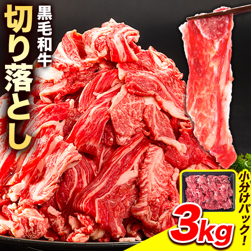 牛肉 黒毛和牛 切り落とし 3kg《30日以内に出荷予定(土日祝除く)》 岡山県 浅口市 牛 牛肉 和牛 牛丼 カレー 小分け 小分けパック 250g 送料無料 1349043 - 岡山県浅口市