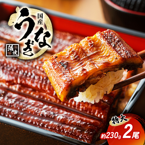 国産うなぎ 特大 蒲焼き 約230g前後 2尾 国産 うなぎ ウナギ 鰻 国産鰻 うなぎの蒲焼き ウナギの蒲焼 国産うなぎ蒲焼 国産鰻の蒲焼 魚 お魚 魚介 魚介類 海鮮 海鮮セット 惣菜 職人 手焼き ギフト 贈り物 プレゼント 福井 福井県 若狭町 1351366 - 福井県若狭町