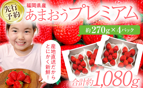 【先行予約/2026年】大木町産 あまおう いちご 約270ｇ×4パック《2026年2月以降順次発送》イチゴ 苺 果物 おすすめ 福岡県 大木町 CL001 1351589 - 福岡県大木町