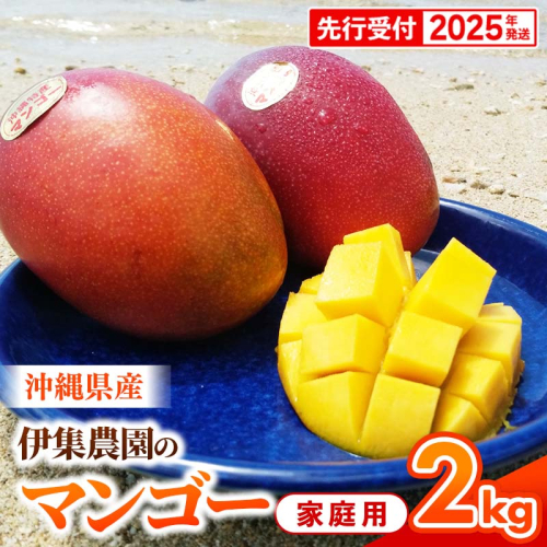 【先行受付】【2025年発送】伊集農園 沖縄県産マンゴー ご家庭用 約2kg 1351675 - 沖縄県八重瀬町
