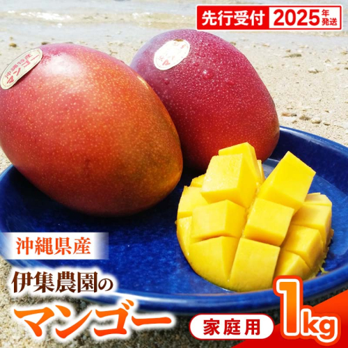 【先行受付】【2025年発送】伊集農園 沖縄県産マンゴー ご家庭用 約1kg 1351719 - 沖縄県八重瀬町
