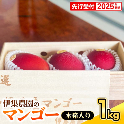 【木箱入】【先行受付・2025年発送】伊集農園 沖縄県産マンゴー（贈答用木箱）約1kg 1351720 - 沖縄県八重瀬町