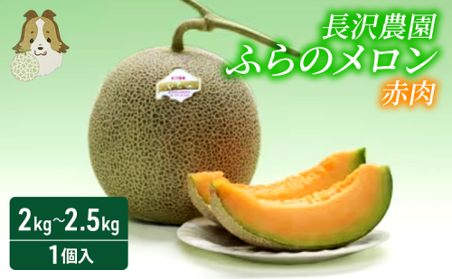 【先行受付  2026年発送】ふらのメロン 赤肉 大玉 ジャンボ 1玉入 (2kg～2.5kg) 北海道 富良野 メロン 夏 果物 フルーツ ギフト 長沢農園 1352333 - 北海道富良野市