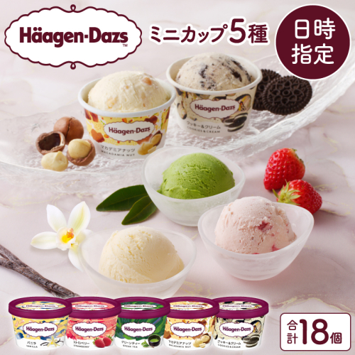 【着日指定できます!!】ハーゲンダッツ『定番ミニカップ5種セット(合計18個)』アイスクリーム アイス スイーツ デザート_H0016-016 1352446 - 北海道浜中町