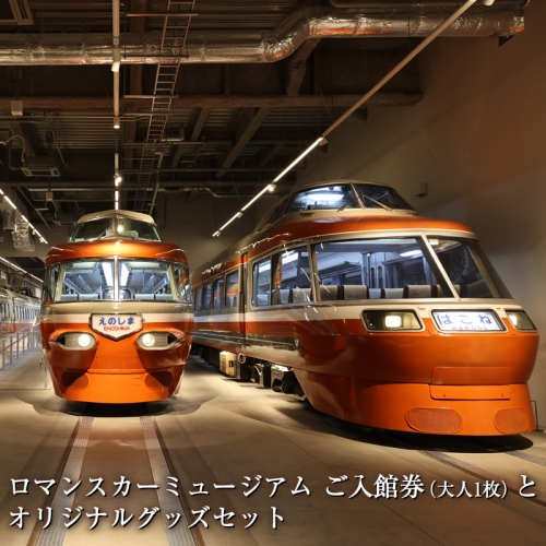 ロマンスカーミュージアム　ご入館券（大人1枚）とオリジナルグッズセット【 チケット 体験 鉄道ミュージアム 神奈川県 海老名市 】 1352833 - 神奈川県海老名市