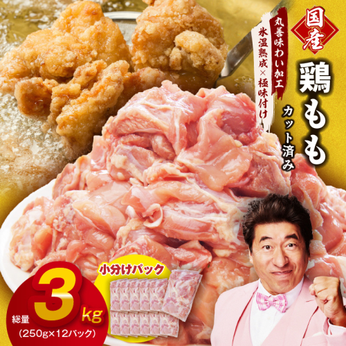 【カット済み】国産 鶏肉もも 3kg【氷温熟成×極味付け 小分け 250g×12P とり もも 簡単調理 唐揚げ 親子丼 家計応援】 mrz0107 1353095 - 大阪府泉佐野市