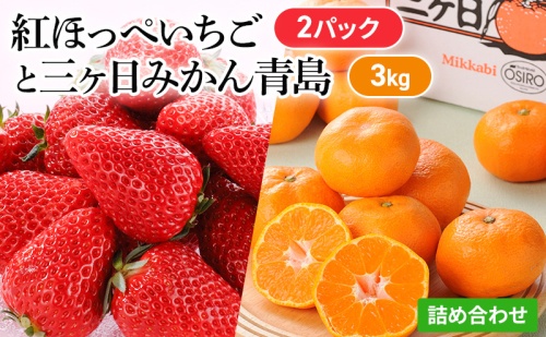 【2026年1月中旬より順次発送】 フルーツセット 紅ほっぺ 2パック 三ヶ日みかん 3kg セット 詰め合わせ 青島みかん みかん 蜜柑 いちご 苺 果物 旬のフルーツ 静岡 静岡県 浜松市 【配送不可：離島】 1353564 - 静岡県浜松市