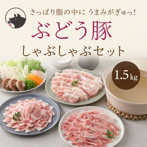 宮崎県産 希少「綾ぶどう豚」 しゃぶしゃぶセット 1.5kg (500g×3パック) モモ 豚バラ ロース 食べ比べ 国産 ブランド豚 豚肉 小分け 13537 - 宮崎県綾町