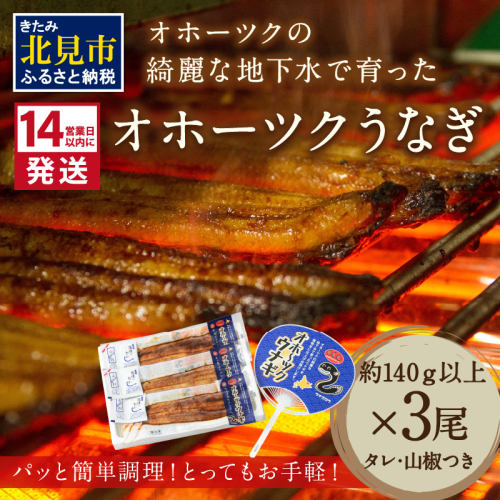 《14営業日以内に発送》オホーツクの綺麗な地下水で育った オホーツク うなぎ 3尾 ( 蒲焼 蒲焼き 丑の日 土用丑の日 )【160-0004】 1354059 - 北海道北見市