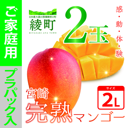 完熟マンゴー ２L×２玉（パック） 13547 - 宮崎県綾町